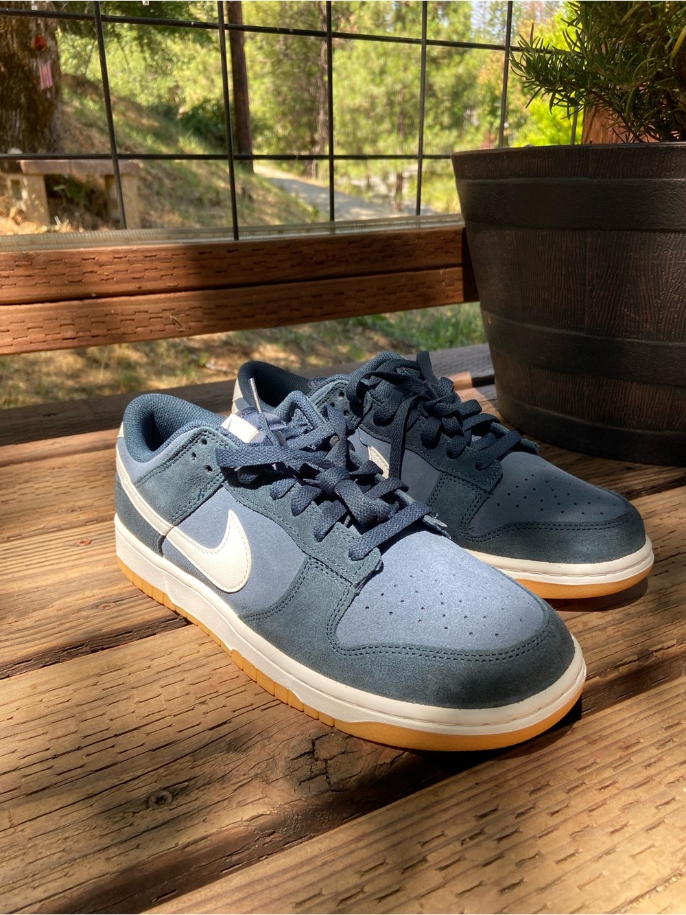 Nike dunk Low